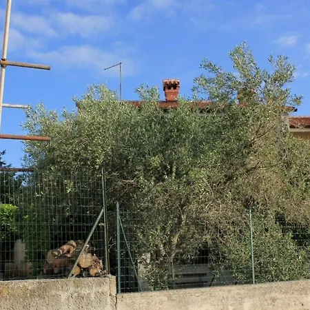 With A Parking Space Vinkuran, Pula - 7653 Διαμέρισμα Μεντουλίν